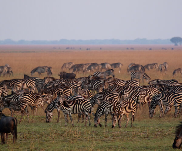 Liuwa Plain National Park